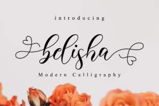 Belisha: A Font That Elevates Your Brand