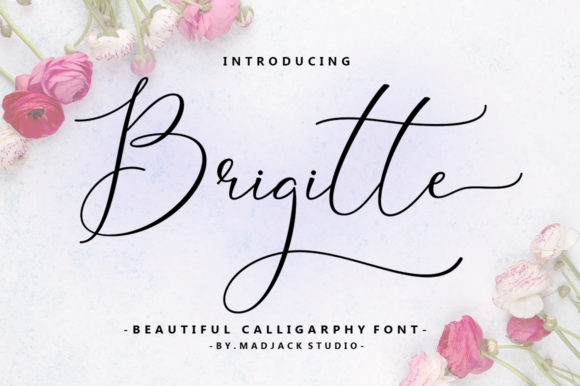 Brigitte: A Beautiful Script Font